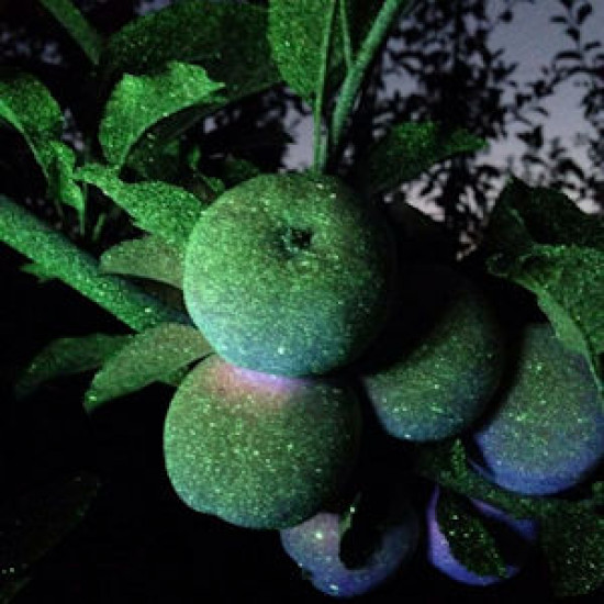 Пръскачка овощарска електростатична BOA PRO 2000 L. 2х90